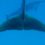 Group logo of 2016-2017 Efficiency of Aquatic Locomotion Using Flippers