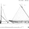 Group logo of 2016-2017 Orthogonal Proabot Flotilla